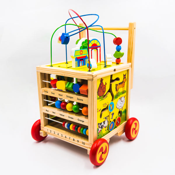 WOODEN ACTIVITY WALKER AND CUBE CZH05